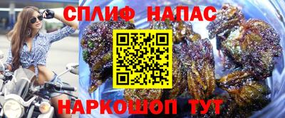 дурь Новокубанск