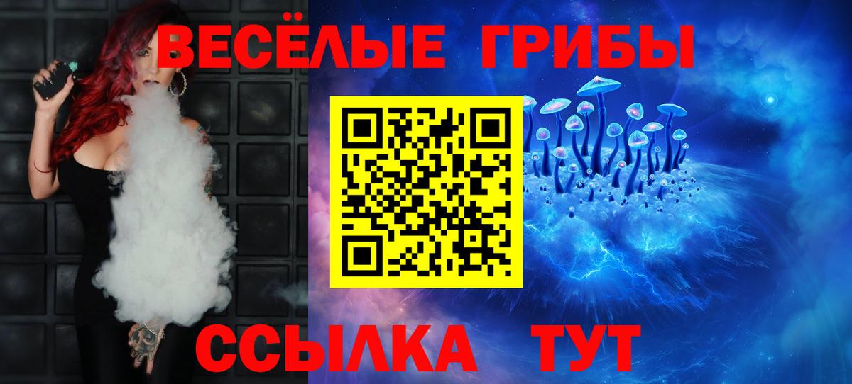 Новокуйбышевск  Галлюциногенные грибы прущие грибы  Псилоцибиновые грибы мицелий  сколько стоит  Вход с VPN 